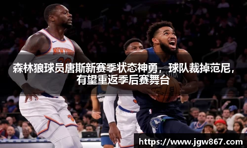 森林狼球员唐斯新赛季状态神勇，球队裁掉范尼，有望重返季后赛舞台
