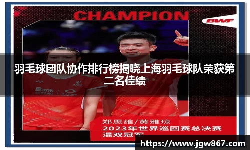 羽毛球团队协作排行榜揭晓上海羽毛球队荣获第二名佳绩