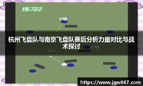 杭州飞盘队与南京飞盘队赛后分析力量对比与战术探讨