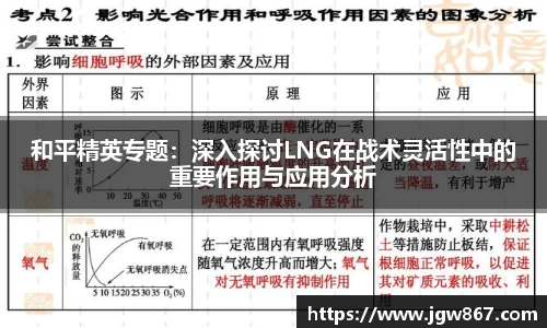 和平精英专题：深入探讨LNG在战术灵活性中的重要作用与应用分析
